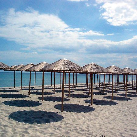 Olympiakí Aktí Hotel White Rose Beach מראה חיצוני תמונה