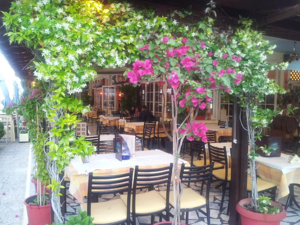 Olympiakí Aktí Hotel White Rose Beach מראה חיצוני תמונה